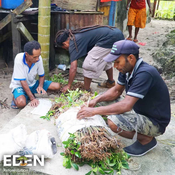 Indonesian people work